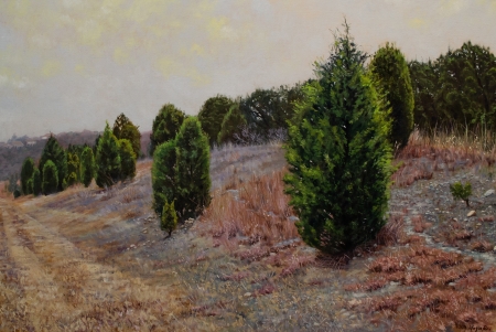 Cedar Trees of Austin by artist Jose Blanco